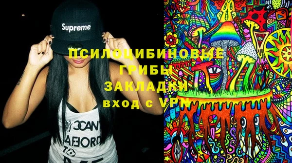 PSILOCYBIN Баксан