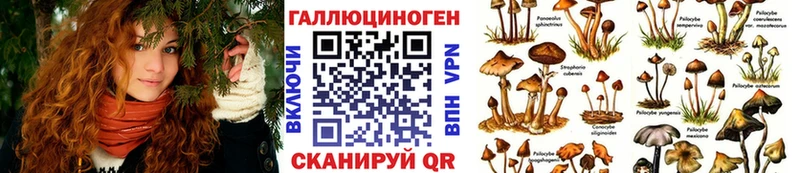 Псилоцибиновые грибы GOLDEN TEACHER  гидра маркетплейс  Белая Калитва 